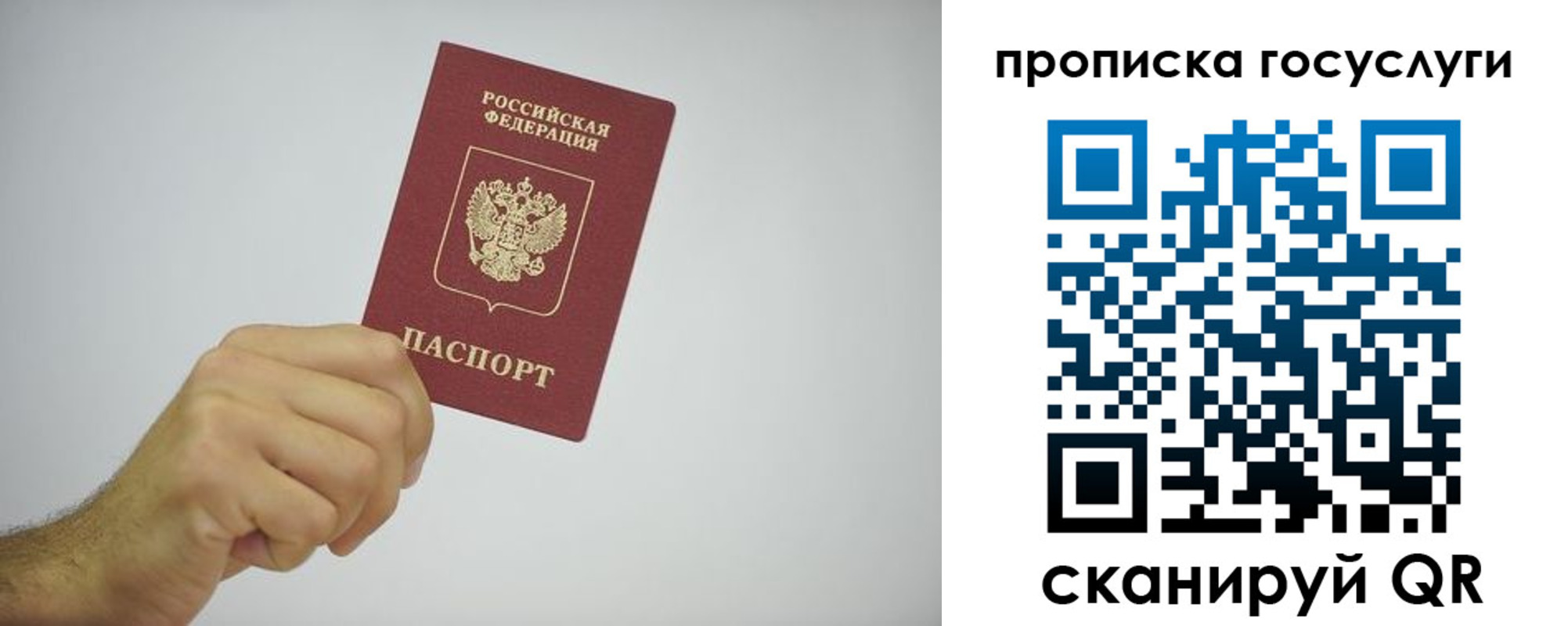 прописка законно в Соколе